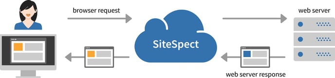 How Does SiteSpect Work