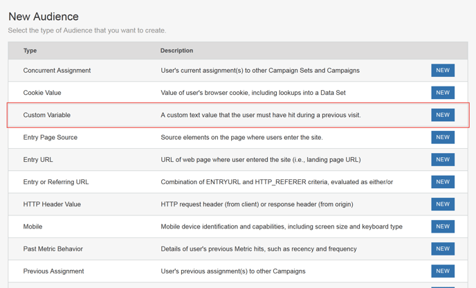 Using Custom Variables for Personalization - New Audience